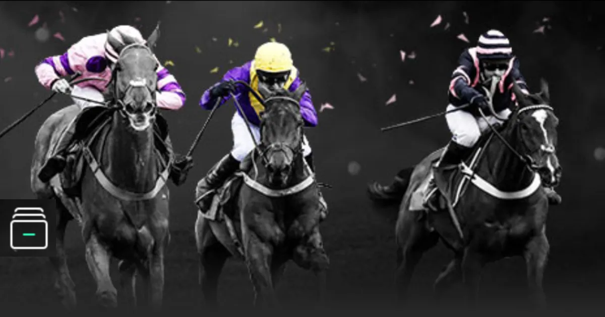 NBA,开拓者大胜,黄蜂,太阳城会员登录入口,H5太阳城官网,太阳城