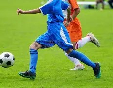 內維爾爆料,弗格森昔日,批評霍德爾,太阳城会员登录入口,H5太阳城官网,太阳城